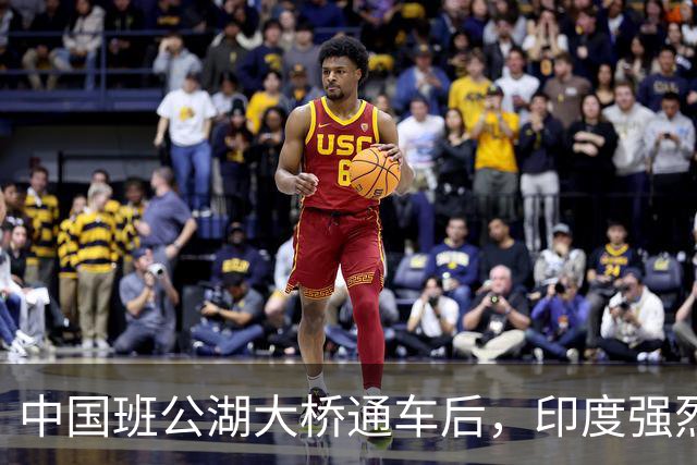 中国班公湖大桥通车后，印度强烈不满，但它为什么不照着修一座？