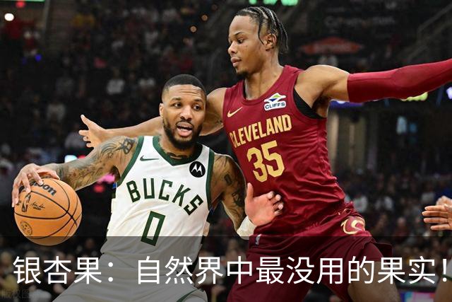 银杏果：自然界中最没用的果实！结果再多也一样沦为保护植物